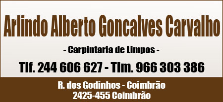 Arlindo Alberto Goncalves Carvalho