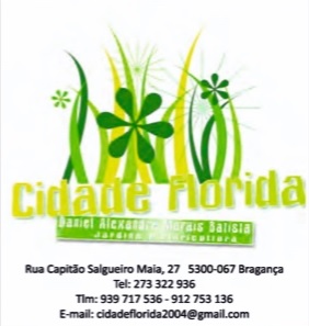 Cidade Florida - Floricultura