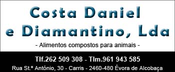Costa Daniel e Diamantino, Lda