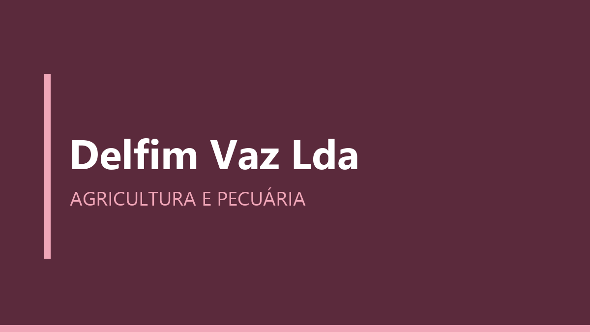 Delfim Vaz Lda