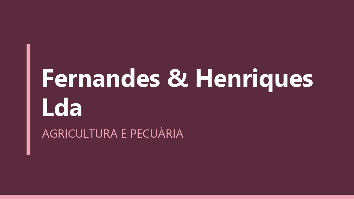 Fernandes & Henriques Lda