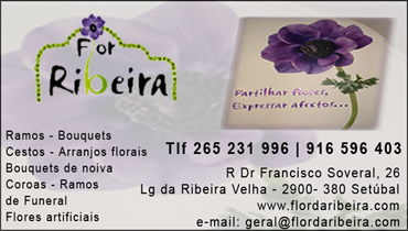 Flor da Ribeira