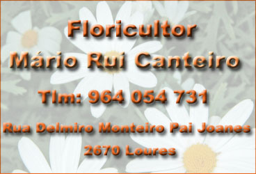 Floricultor Mário Rui Canteiro