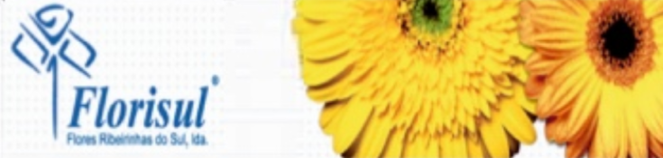Florisul Flores Ribeirinhas do Sul, Lda
