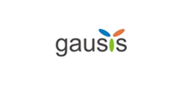 Gausis – Consultoria em Energia e Qualidade, Lda.