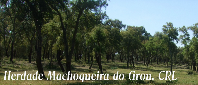 Herdade da Machoqueira do Grou, CRL