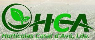 Horticolas Casal da Avó, Lda.