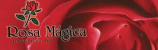 Rosa Mágica Floricultura, Lda