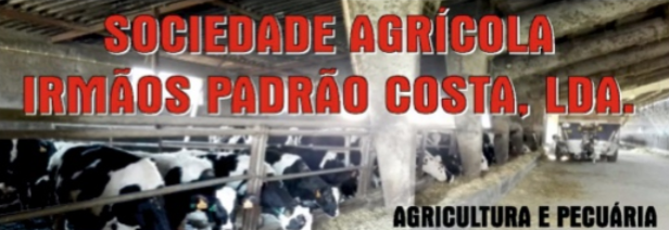 Sociedade Agrícola Irmãos Padrão Costa, Lda