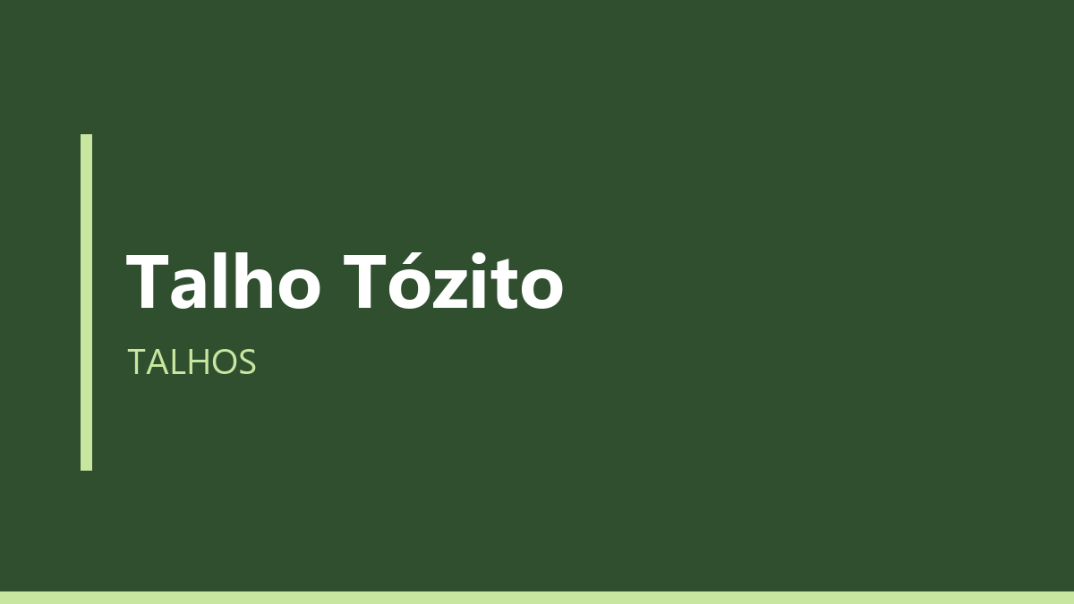 Talho Tózito