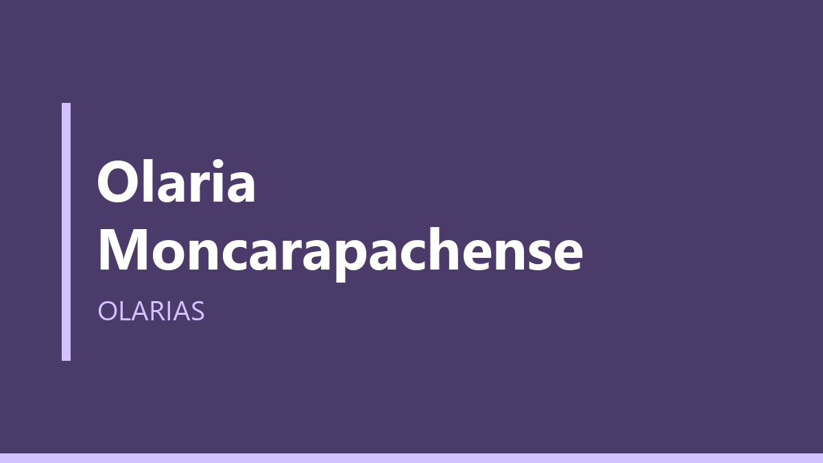 Olaria Moncarapachense
